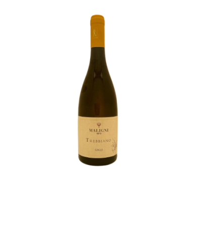 White wines  Gigli Trebbiano Terre di Chieti IGT 2024 - Cantine Maligni 7,35&nbsp;€