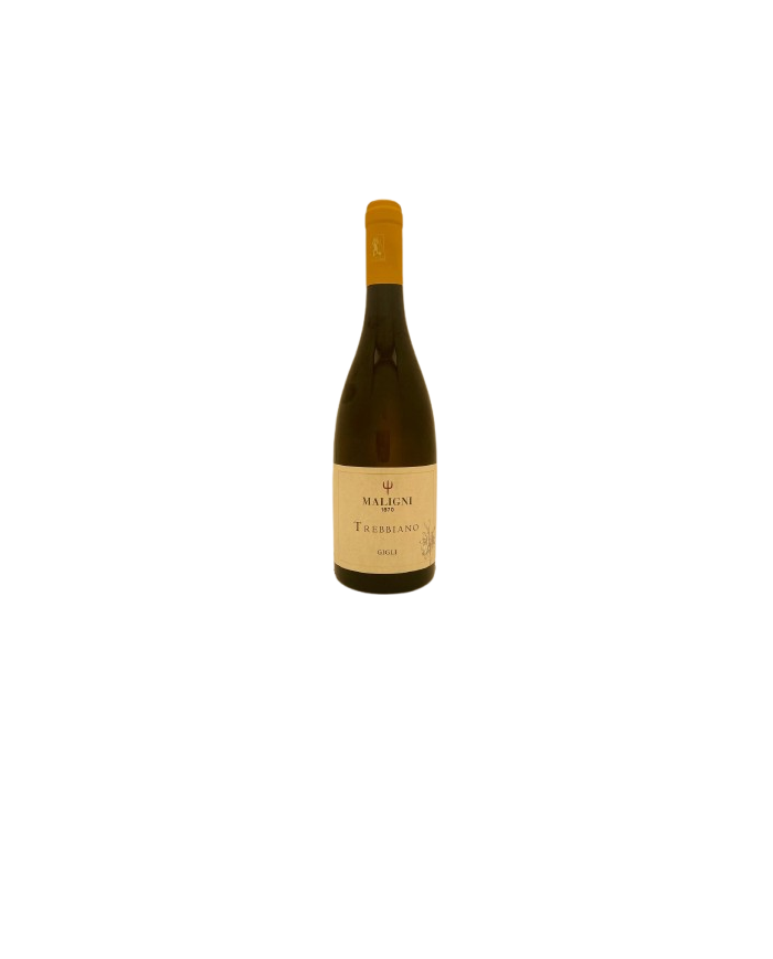White wines  Gigli Trebbiano Terre di Chieti IGT 2024 - Cantine Maligni 7,35 €