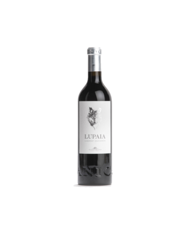 Red Wines  Lupaia Terre di Chieti IGT Cabernet Sauvignon 2020 - Podere Castorani 13,93 â‚¬ Red Wines  Lupaia Terre di Chieti IGT Cabernet Sauvignon 2020 - Podere Castorani 13,93 â‚¬