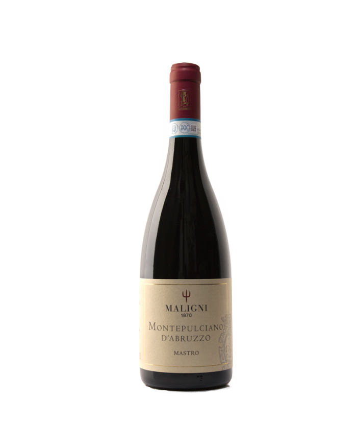 Red Wines  Mastro Montepulciano d'Abruzzo D.O.C. 2021 - Cantine Maligni 12,85 €