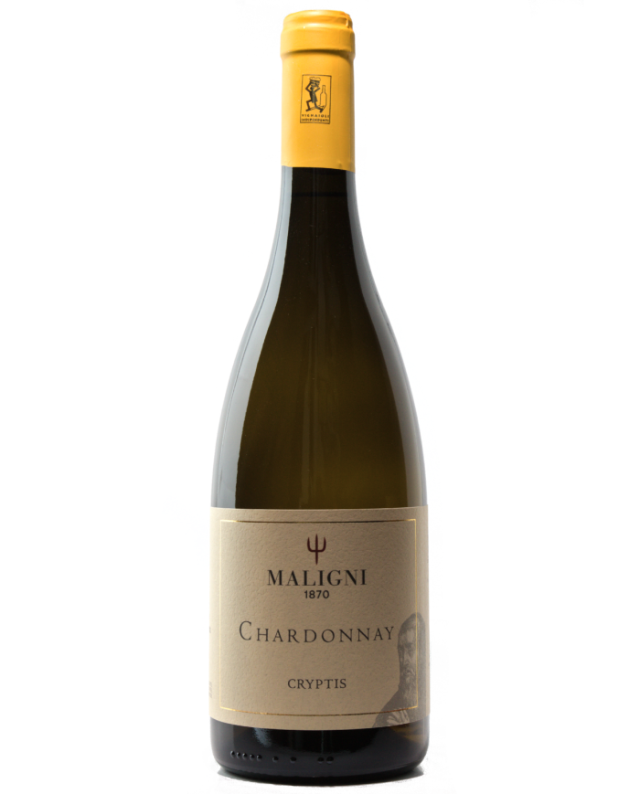Vini Bianchi  Cryptis Chardonnay varietale 2024 - Cantine Maligni 11,02 €