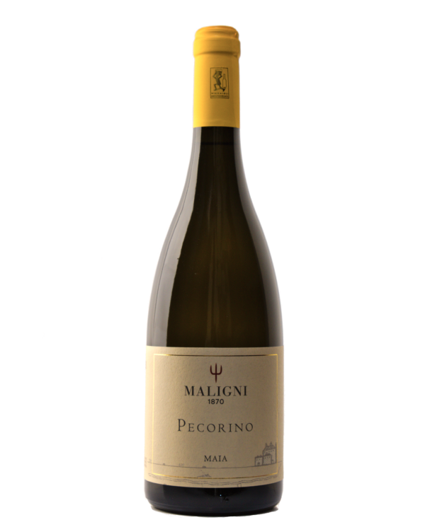 Vini Bianchi  Maia Pecorino Colline Teatine IGT 2023 - Cantine Maligni 9,18 â‚¬ Vini Bianchi  Maia Pecorino Colline Teatine IGT 2023 - Cantine Maligni 9,18 â‚¬