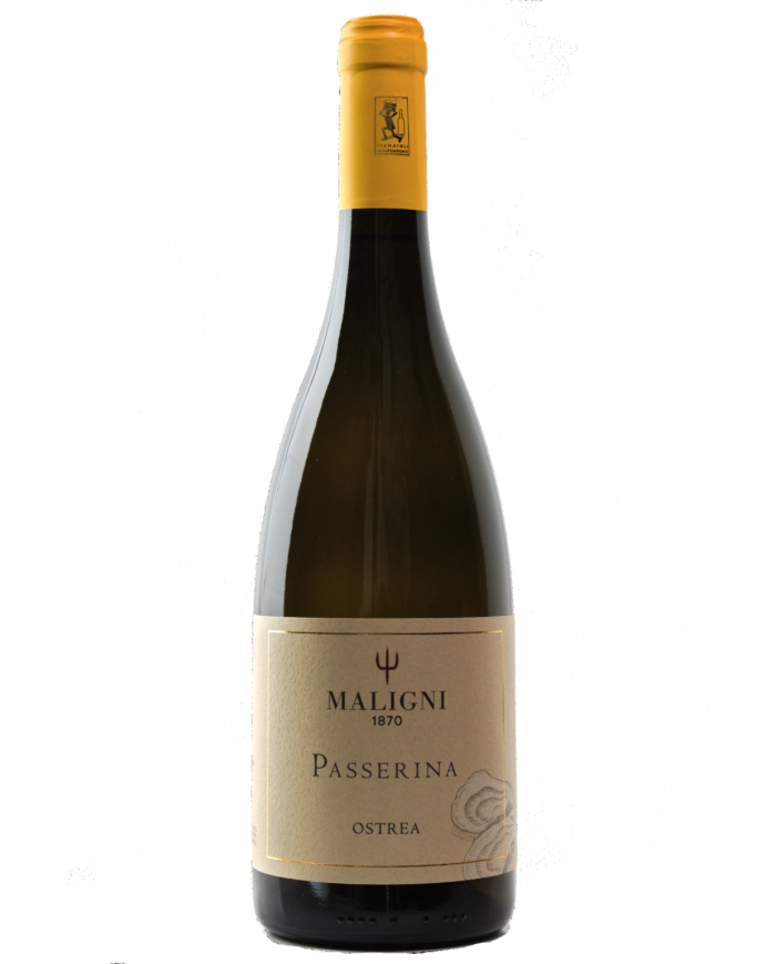 White wines  Ostrea Passerina I.G.T. Colline Teatine 2023 - Cantine Maligni 9,18 €