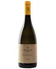 White wines  Ostrea Passerina I.G.T. Colline Teatine 2023 - Cantine Maligni 9,18 €