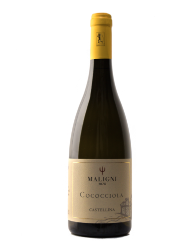 White wines  Castellina Cococciola I.G.T. Colline Teatine 2024 - Cantine Maligni 9,18 â‚¬ White wines  Castellina Cococciola I.G.T. Colline Teatine 2024 - Cantine Maligni 9,18 â‚¬