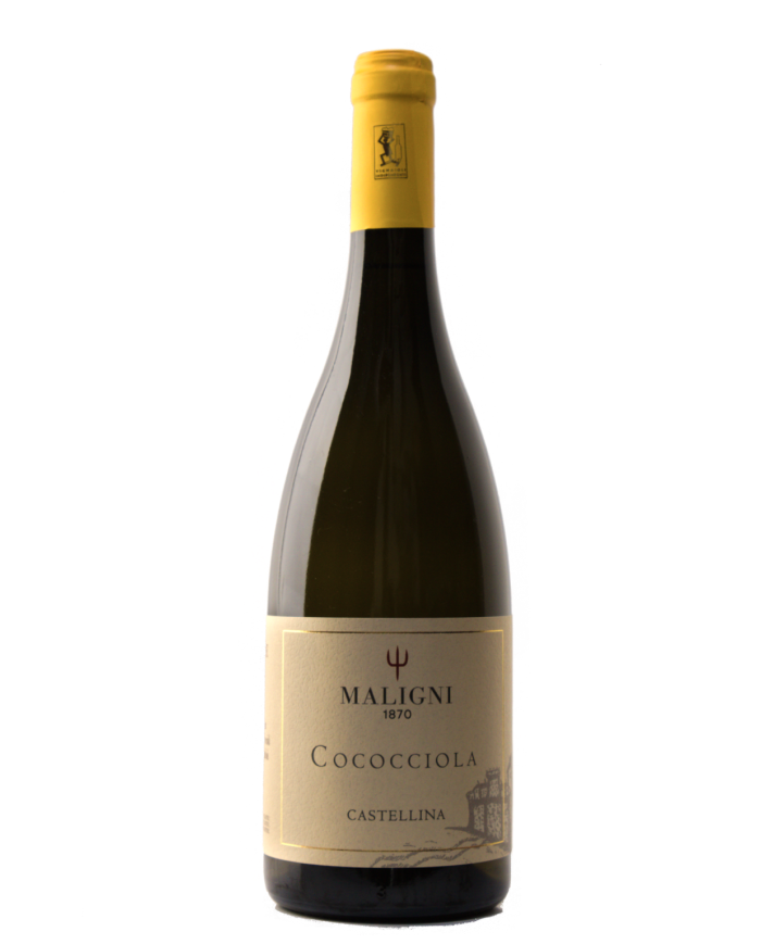 Vini Bianchi  Castellina Cococciola I.G.T. Colline Teatine 2024 - Cantine Maligni 9,18 €