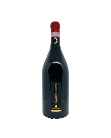 Red Wines  Montepulciano d'Abruzzo Colline Teramane DOCG Riserva Mastrobono 2013 Magnum - Vini la Quercia 47,16 € Red Wines  Montepulciano d'Abruzzo Colline Teramane DOCG Riserva Mastrobono 2013 Magnum - Vini la Quercia 47,16 €