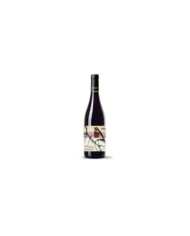 Red Wines  U Picettu Colline Savonesi IGT 2023 - Durin 16,35 €
