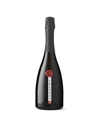 Vini Spumanti  Volpaia Brut Spumante Metodo Classico Brut Nature 2020 - Castello di Volpaia 40,17 € Vini Spumanti  Volpaia Brut Spumante Metodo Classico Brut Nature 2020 - Castello di Volpaia 40,17 €
