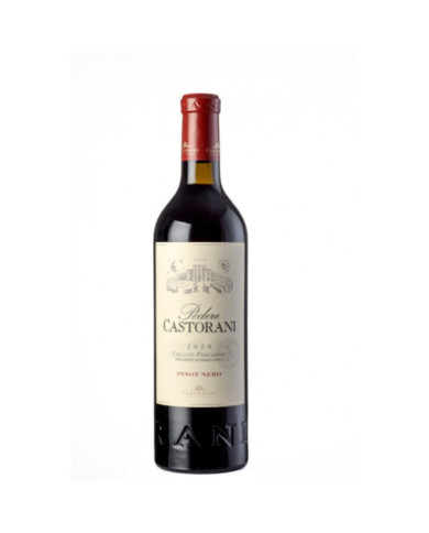 Rode wijnen  Pinot Nero Colline Pescaresi IGT 2020 - Podere Castorani 32,79 € Rode wijnen  Pinot Nero Colline Pescaresi IGT 2020 - Podere Castorani 32,79 €