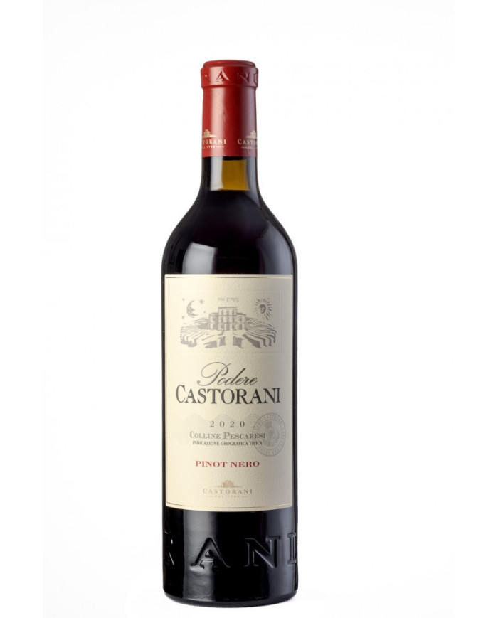 Red Wines  Pinot Nero Colline Pescaresi IGT 2020 - Podere Castorani 32,79 €