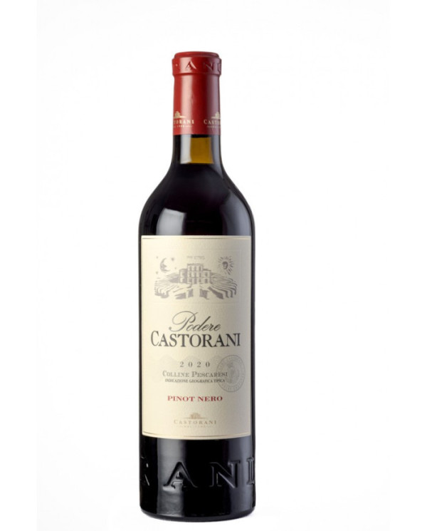 Red Wines  Pinot Nero Colline Pescaresi IGT 2020 - Podere Castorani 32,79 â‚¬ Red Wines  Pinot Nero Colline Pescaresi IGT 2020 - Podere Castorani 32,79 â‚¬