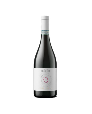 Red Wines  Tribum Montepulciano D'Abruzzo DOP BIO Organic 2022 - Feudo Antico 7,30 â‚¬ Red Wines  Tribum Montepulciano D'Abruzzo DOP BIO Organic 2022 - Feudo Antico 7,30 â‚¬