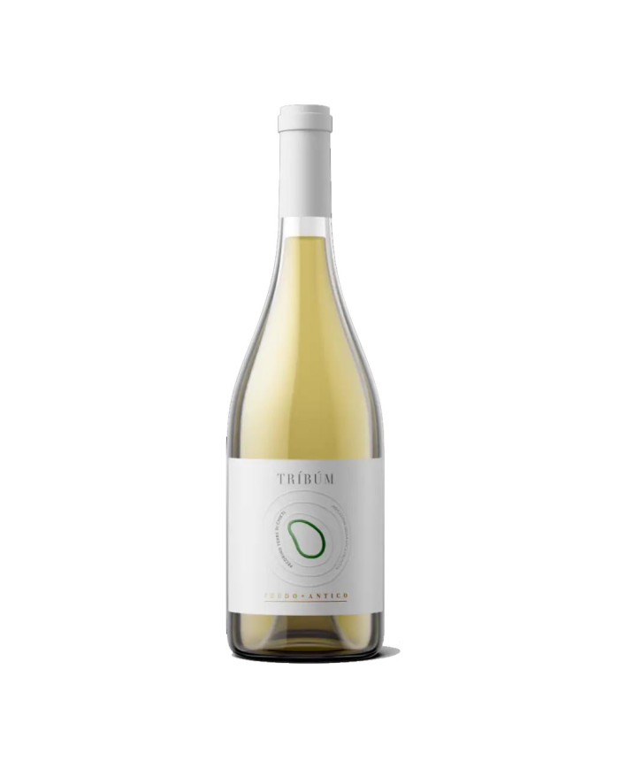 White wines  Tribum Pecorino Terre di Chieti IGP Organic BIO 2023 - Feudo Antico 7,30&nbsp;€