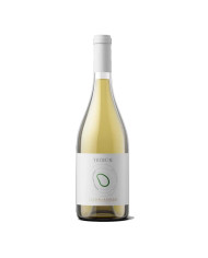 White wines  Tribum Pecorino Terre di Chieti IGP Organic BIO 2023 - Feudo Antico 7,30&nbsp;€