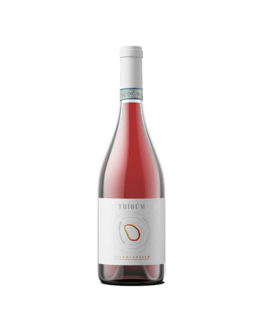 Rosé Wines  Tribum Cerasuolo D'Abruzzo DOP Organic BIO 2023 - Feudo Antico 7,30 € Rosé Wines  Tribum Cerasuolo D'Abruzzo DOP Organic BIO 2023 - Feudo Antico 7,30 €
