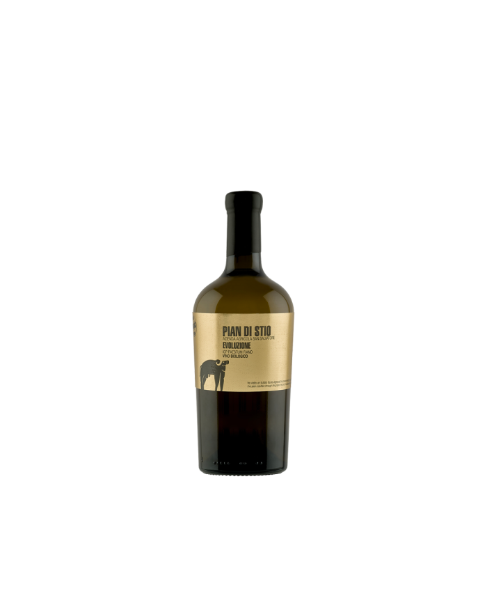 White wines  Pian di Stio Evoluzione 2019 IGP Paestum Fiano Bio - San Salvatore 1988 32,79 €