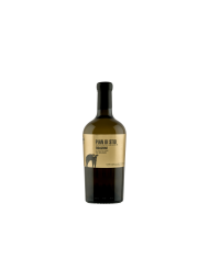 White wines  Pian di Stio Evoluzione 2019 IGP Paestum Fiano Bio - San Salvatore 1988 32,79 €
