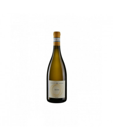 White wines  Lugana Selva DOC 2024 magnum - Podere Selva Capuzza 35,16 € White wines  Lugana Selva DOC 2024 magnum - Podere Selva Capuzza 35,16 €