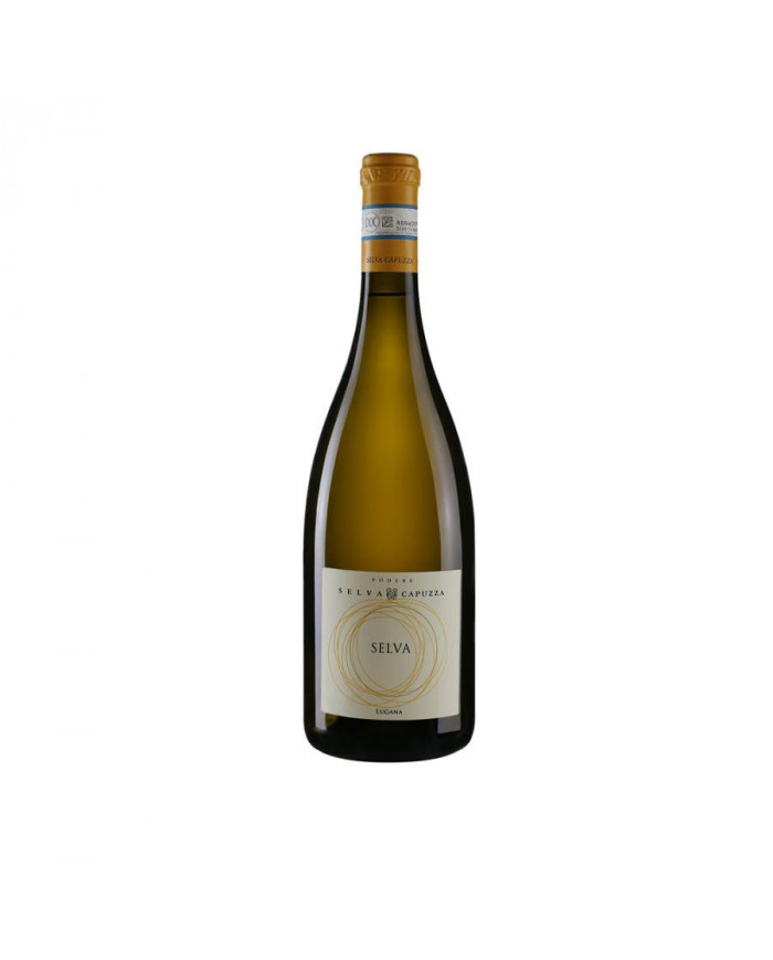 White wines  Lugana Selva DOC 2024 magnum - Podere Selva Capuzza 35,16 â‚¬ White wines  Lugana Selva DOC 2024 magnum - Podere Selva Capuzza 35,16 â‚¬