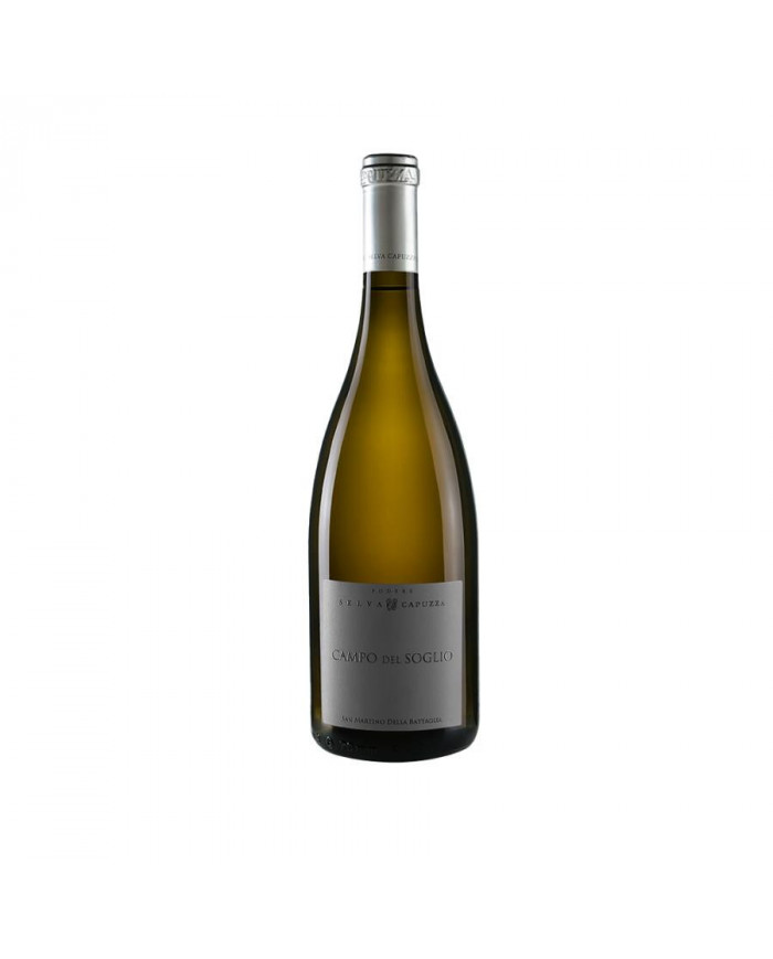 Vini Bianchi  Bianco San Martino Battaglia Campo Soglio 2022 magnum - Podere Selva Capuzza 36,23&nbsp;€