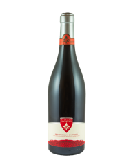Vini Rossi  Montepulciano d'Abruzzo DOC 2019 - Palazzo Centofanti 8,40 €