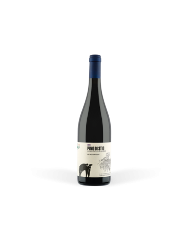 Rode wijnen  Pino di Stio Paestum Rosso IGP 2016 - San Salvatore 1988 44,63 € Rode wijnen  Pino di Stio Paestum Rosso IGP 2016 - San Salvatore 1988 44,63 €