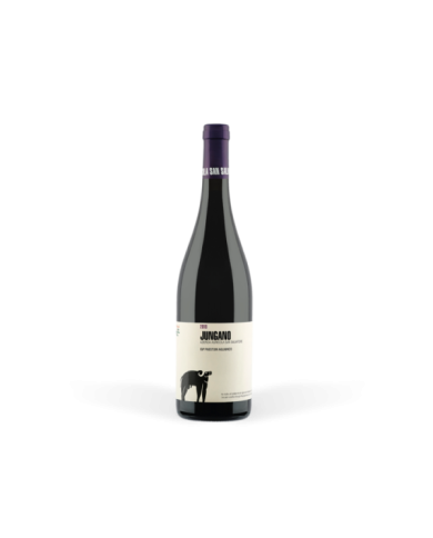 Rode wijnen  Jungano Paestum Aglianico IGP 2020 - San Salvatore 1988 27,00 € Rode wijnen  Jungano Paestum Aglianico IGP 2020 - San Salvatore 1988 27,00 €