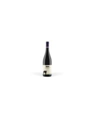 Red Wines  Jungano Paestum Aglianico IGP 2020 - San Salvatore 1988 27,00 €