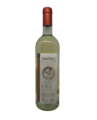 Vini Bianchi  Ansonica dell’Elba Doc 2024 – Acquabona 16,63 € Vini Bianchi  Ansonica dell’Elba Doc 2024 – Acquabona 16,63 €