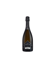 Schaumweine  PERLAGE Prosecco DOC spumante Gran cuvée millesimato brut 2023 - Terre Gaie 6,65 €