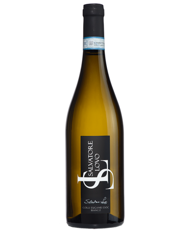 White wines  SALVATORE LOVO Colli Euganei Bianco DOC 2023 - Terre Gaie 7,11 â‚¬ White wines  SALVATORE LOVO Colli Euganei Bianco DOC 2023 - Terre Gaie 7,11 â‚¬