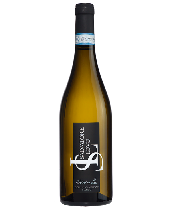 White wines  SALVATORE LOVO Colli Euganei Bianco DOC 2023 - Terre Gaie 7,11 â‚¬ White wines  SALVATORE LOVO Colli Euganei Bianco DOC 2023 - Terre Gaie 7,11 â‚¬