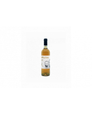 Witte Wijnen  Colli Aprutini Bianco I.G.T. 2022 - Rasicci 9,80 €