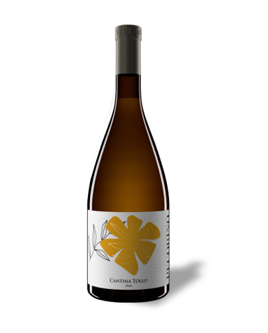 White wines  Peco Pecorino Terre d’Abruzzo IGP 2024 - Cantina Tollo 12,14 â‚¬ White wines  Peco Pecorino Terre d’Abruzzo IGP 2024 - Cantina Tollo 12,14 â‚¬