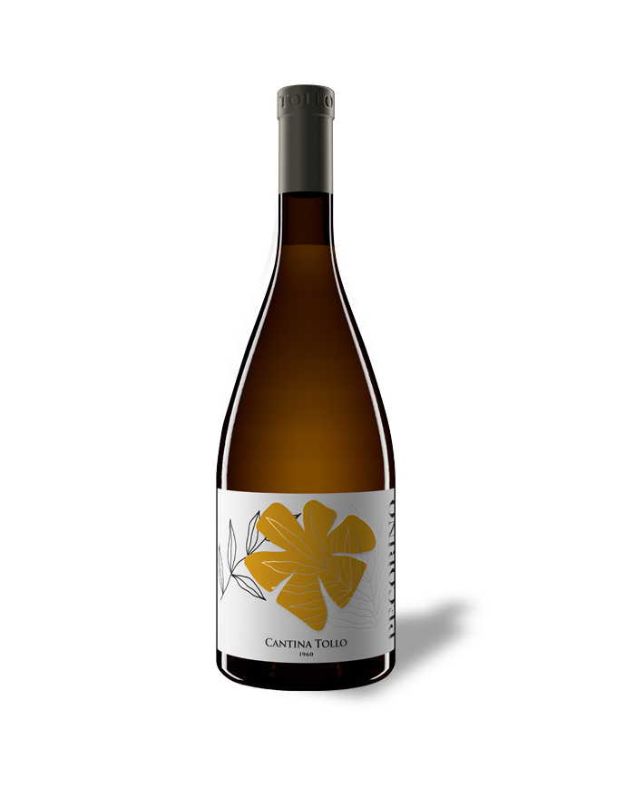 Witte Wijnen  Peco Pecorino Terre d’Abruzzo IGP 2024 - Cantina Tollo 12,14 €