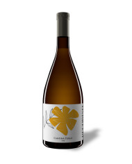 Vini Bianchi  Peco Pecorino Terre d’Abruzzo IGP 2024 - Cantina Tollo 12,14&nbsp;€