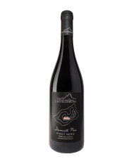 Rode wijnen  Diamante nero Pinot nero IGP Terre dell'Aquila 2021 - Castelsimoni 23,66 €