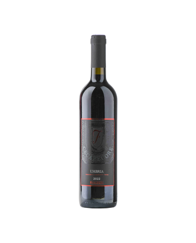 Rode wijnen  Cecapecore rosso dell’Umbria IGT 2024 – Favaroni 8,92 € Rode wijnen  Cecapecore rosso dell’Umbria IGT 2024 – Favaroni 8,92 €
