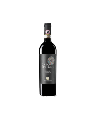 Red Wines  Capo le Vigne - Chianti Classico DOCG Gallo Nero 2017 - Vigna Madre 9,43 € Red Wines  Capo le Vigne - Chianti Classico DOCG Gallo Nero 2017 - Vigna Madre 9,43 €