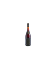 Vini Rosè  Cerasuolo d’Abruzzo DOC 2019 - Amorotti 61,10 €