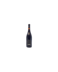 Red Wines  Montepulciano d’Abruzzo DOC 2017 - Amorotti 63,70 €