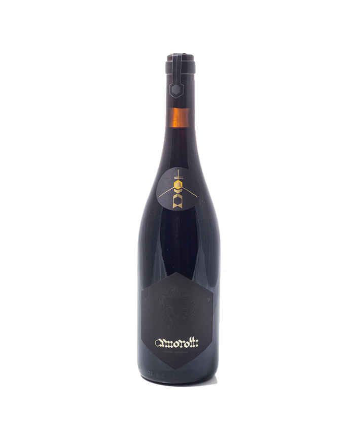 Red Wines  Montepulciano d’Abruzzo DOC 2021 - Amorotti 26,60 €