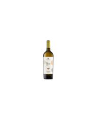 Witte Wijnen  Becco Reale Pecorino IGP 2024 - Vigna Madre 11,20 â‚¬ Witte Wijnen  Becco Reale Pecorino IGP 2024 - Vigna Madre 11,20 â‚¬