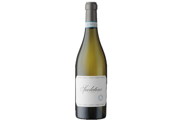 Vini Bianchi  Spoletino Spoleto Trebbiano Spoletino DOC 2024 - Cantina Fratelli Pardi 13,65&nbsp;€