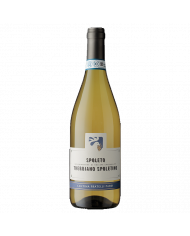 White wines  Trebbiano Spoletino DOC 2024 - Cantina Fratelli Pardi 9,73 €