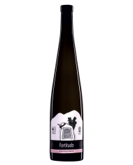 Vini Rosè  Fortitudo Cerasuolo D’Abruzzo DOP 2024 - Fabulas 11,72 €