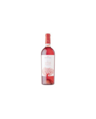 Rosé Wines  Aka Primitivo Rosato Salento IGT 2024 - Produttori di Manduria 10,24 â‚¬ Rosé Wines  Aka Primitivo Rosato Salento IGT 2024 - Produttori di Manduria 10,24 â‚¬