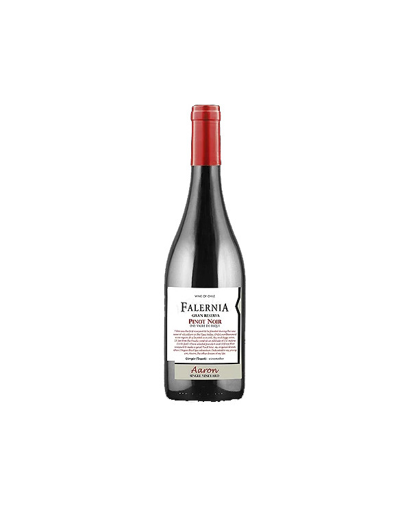 Rode wijnen  Pinot Noir Gran Reserva Aaron Single Vineyard 2019 - Viña Falernia 14,93 â‚¬ Rode wijnen  Pinot Noir Gran Reserva Aaron Single Vineyard 2019 - Viña Falernia 14,93 â‚¬