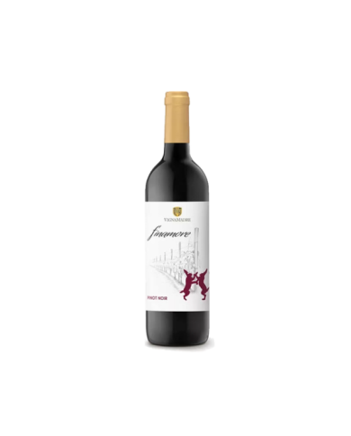 Red Wines  Finamore Pinot Nero IGP 2020 - Vigna Madre 4,83 € Red Wines  Finamore Pinot Nero IGP 2020 - Vigna Madre 4,83 €